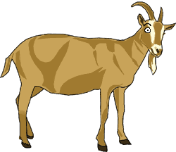 The Billy Goat