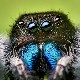 The Disgust Sensitivity Test The Disgust Sensitivity Test Image