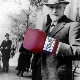 The Fisticuffs Psychology Test The Fisticuffs Psychology Test Image