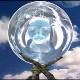 The Predict the Future Test The Predict the Future Test Image