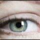 The Are you the man of my dreams? Test The Are you the man of my dreams? Test Image