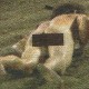 The Super Streaker Test The Super Streaker Test Image